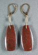 Dark Red Agatized Dinosaur Bone (Gembone) Earrings #54079-1